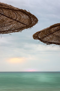 Close-up of plant by sea against sky