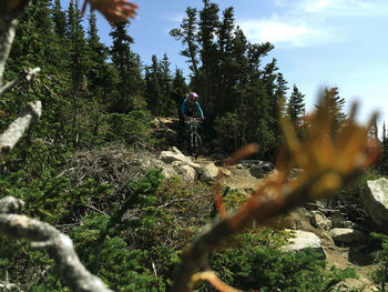 People riding bicycle in forest