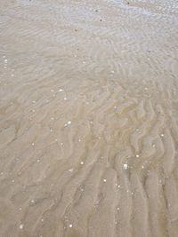 Full frame shot of wet sand