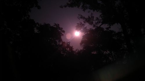 Low angle view of silhouette trees against sky