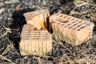 Red stones on the ground in pure nature in landquart