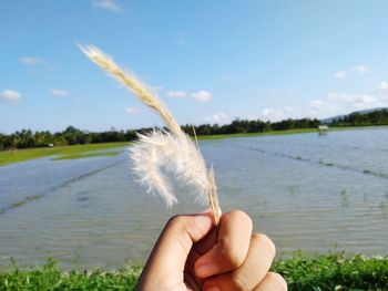 Midsection of person holding feather against lake