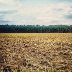 Scenic view of field against cloudy sky