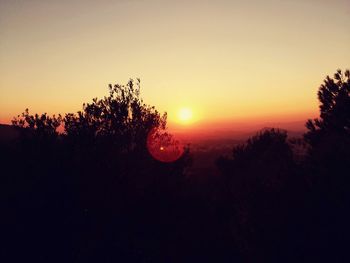 Silhouette of trees at sunset