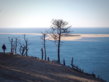 Scenic view of sea against clear sky