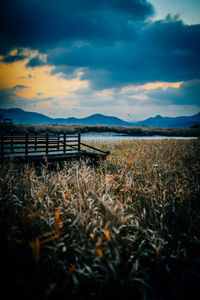 Scenic view of field against sky during sunset