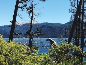 Scenic view of lake against blue sky