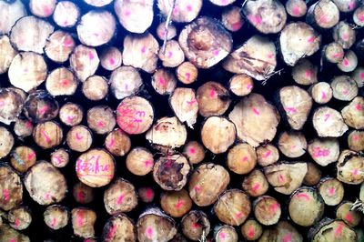 Full frame shot of logs