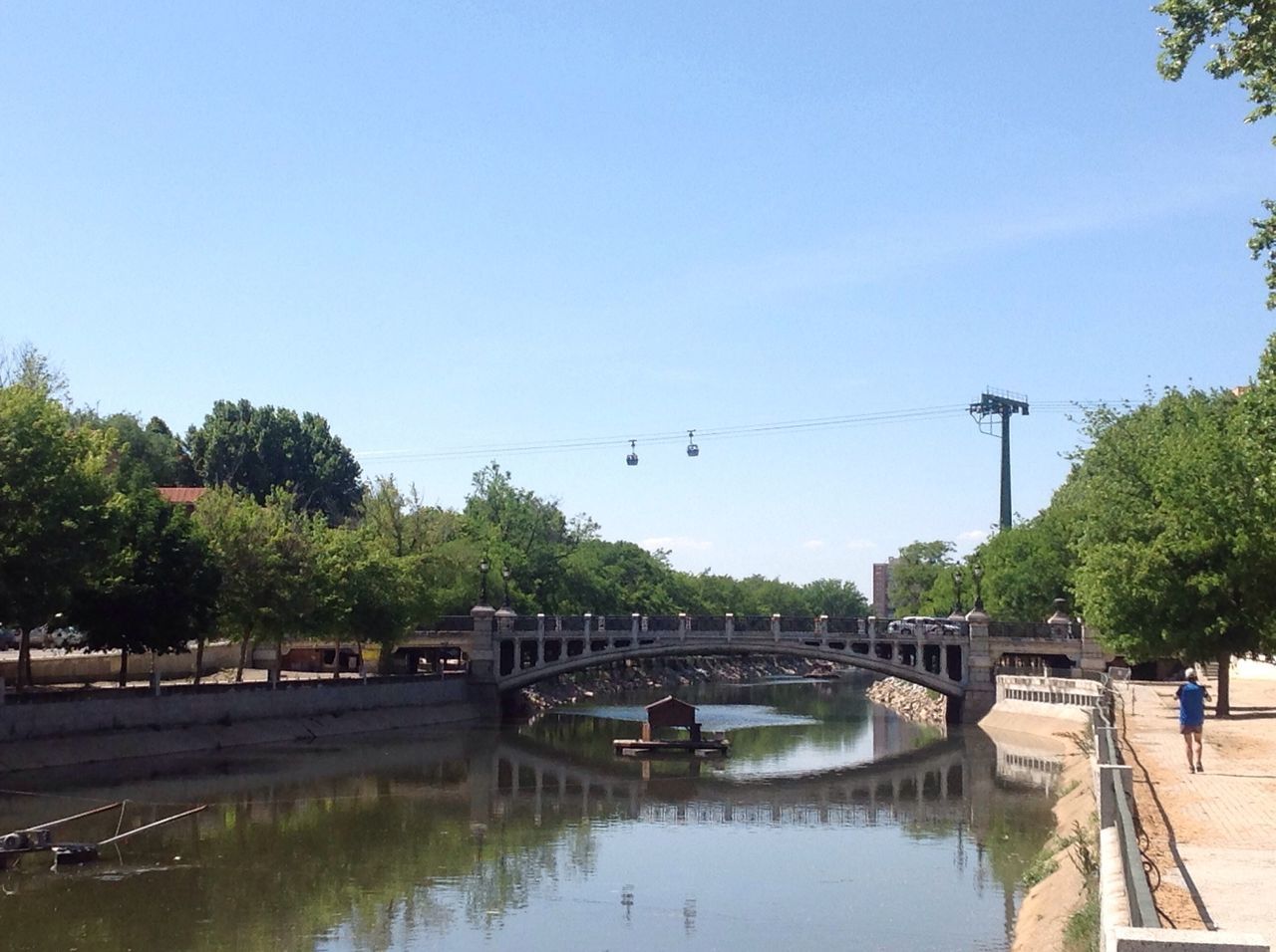 water, tree, clear sky, bird, river, reflection, connection, built structure, animal themes, bridge - man made structure, waterfront, architecture, wildlife, transportation, flying, animals in the wild, nature, lake, copy space, sky