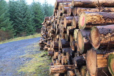 Stack of logs