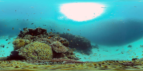 underwater