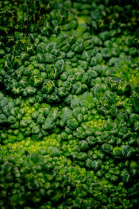 Full frame shot of green beans