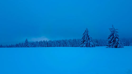 Trees on snow covered field against clear blue sky