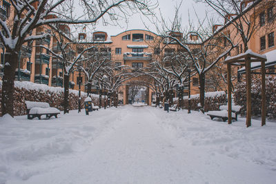 Snow covered bare trees and buildings in city