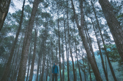 Young man wear hoodie standing in forest ,freedom and recreation concept