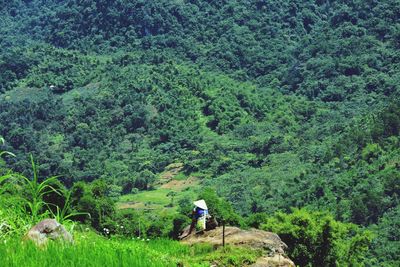 Full length of man amidst plants in forest