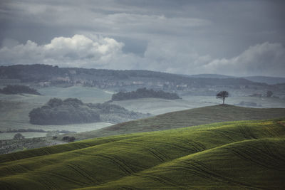 Scenic view of agricultural field against sky