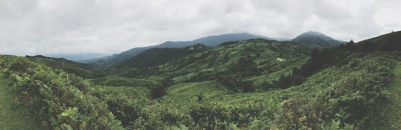 Panoramic view of green landscape against sky