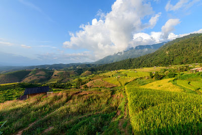 Landscape of pa pong piang rice terraces with homestay on mountain, mae chaem, chiang mai, 