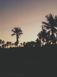 Silhouette palm trees against sky at sunset