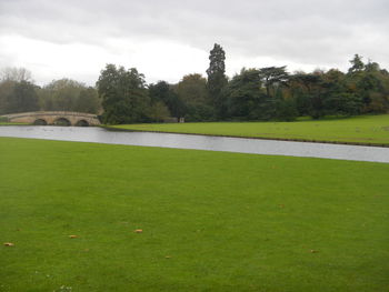 Scenic view of grassy field against sky