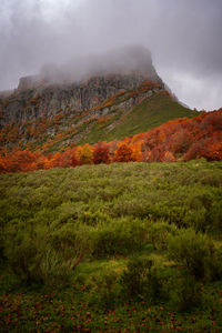 Mountain in autumn in picos de europa national park in puerto de panderrueda viewpoint, spain