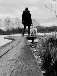 Rear view of dog walking on footpath