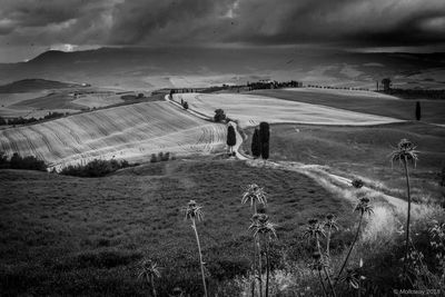 Scenic view of field against sky