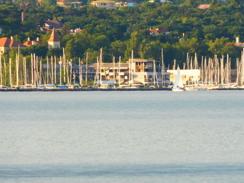 Sailboats in sea