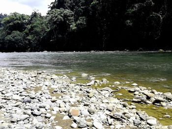 Scenic view of lake