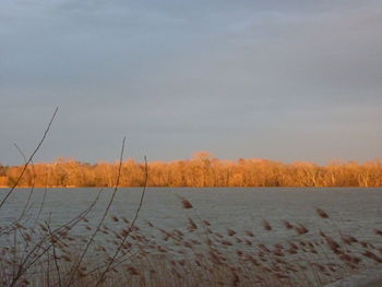 Scenic view of lake against sky