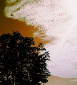 Silhouette of trees at sunset