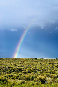 Scenic view of field against rainbow in sky