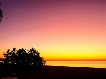 Silhouette tree by sea against romantic sky at sunset