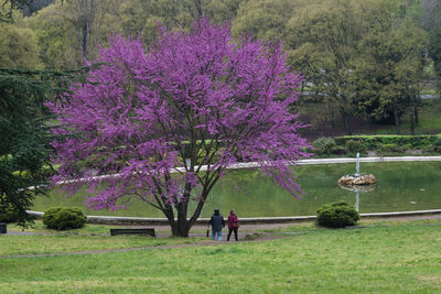 View of man standing in park