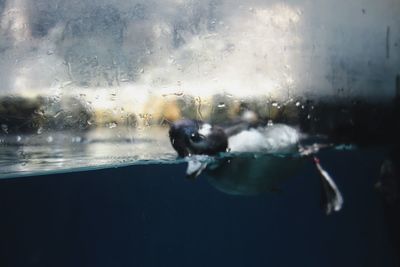 Close-up of water drops on glass