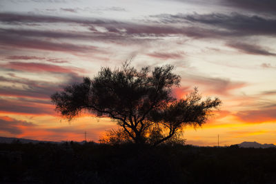 Silhouette tree on field against dramatic sky