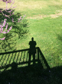 Shadow of people on grass