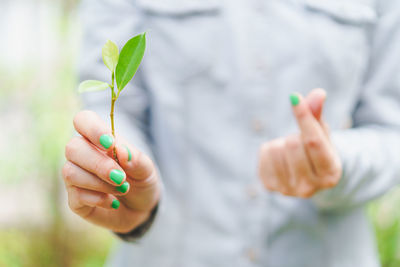 Close-up of hand holding plant