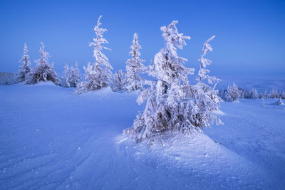 Scenic view of snow covered land against blue sky