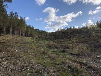 Scenic view of trees growing on field against sky