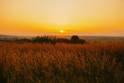 Scenic view of field against sky during sunset