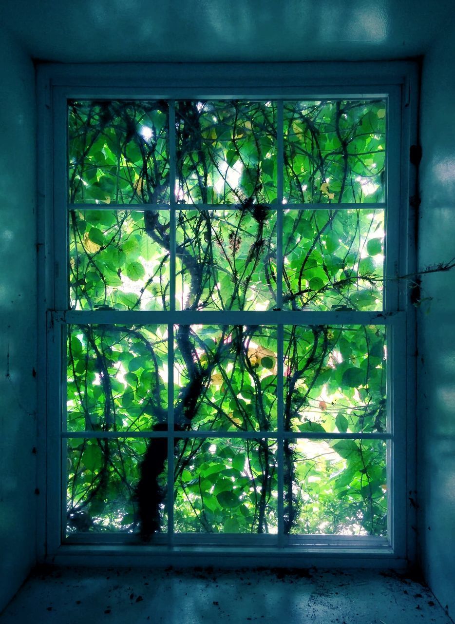 CLOSE-UP OF BROKEN GLASS WINDOW OF HOUSE