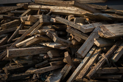 Full frame shot of logs in forest