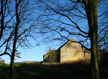 Abandoned house by bare tree on field against clear sky