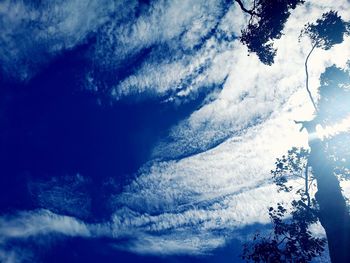 Low angle view of trees against cloudy sky