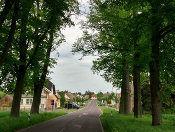 Road amidst trees against sky