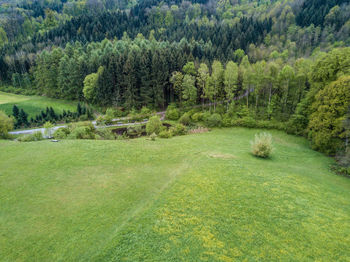 Scenic view of golf course