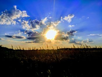 Scenic view of field against sky during sunset