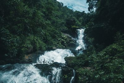 Scenic view of waterfall in forest